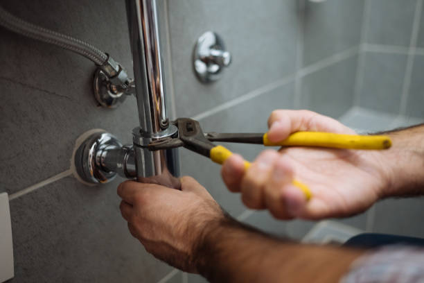 Best Residential Plumbing Services  in Santee, CA